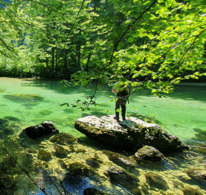 Grayling at his Best!