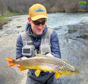 Brown Trout Slovenia M1