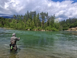 Trout Fishing Sloveniamay26 10