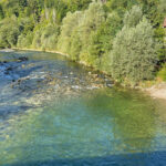 Sava Bohinjka River 1
