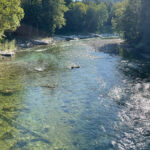 Sava Bohinjka River 2